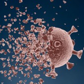 Các giả thuyết phía sau sự "biến mất" thần kỳ của COVID-19 ở Nhật